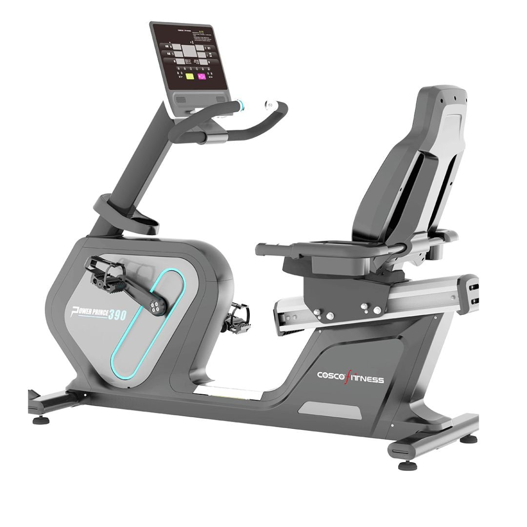 Cosco Upright bike Power 390