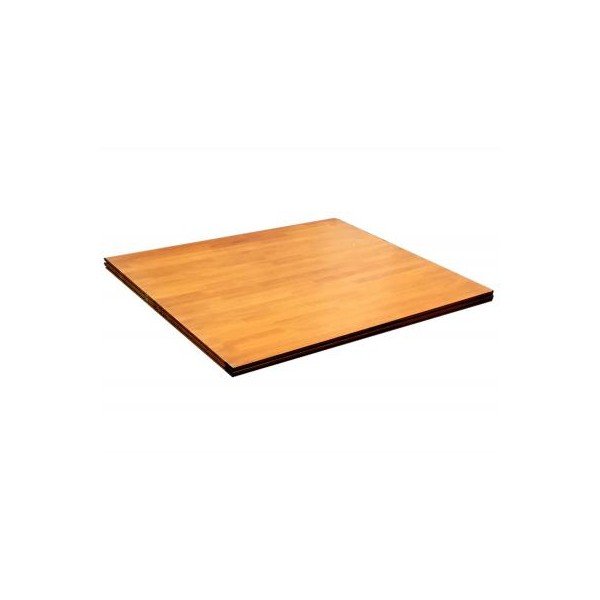 USI Deadlift Platform